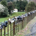 NZL MWT SH4 2011SEPT13 005 : 2011, 2011 - Rugby World Cup, Date, Manawatu-Wanganui, Month, New Zealand, Oceania, Places, September, Shoe Fence, State Highway 4, Trips, Year